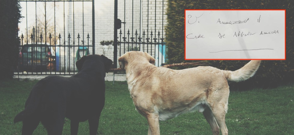 "Vi ammazzo il cane se abbaia ancora", il biglietto di minacce lasciato in giardino
